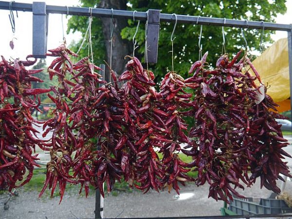 Sušení chilli papriček v troubě